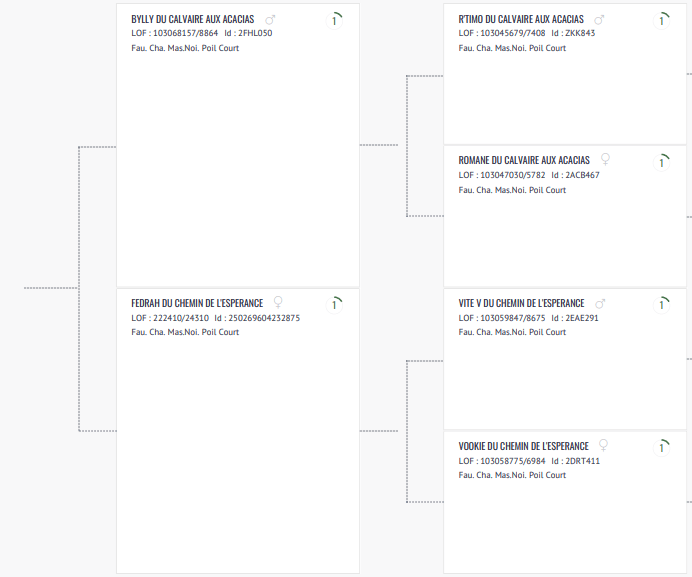 pédigré de jeep du milésime champenois, un berger belge malinois
