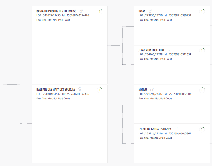 Arbre généalogique chien