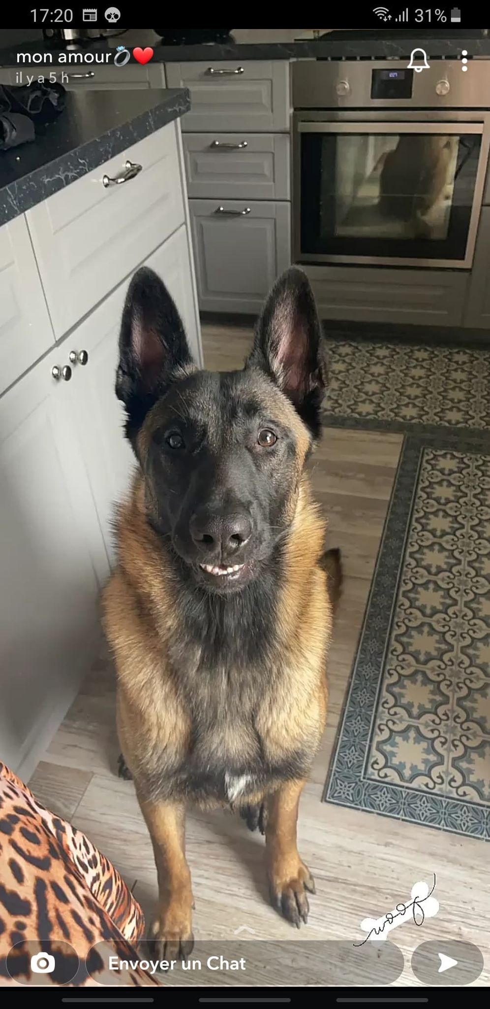 Sultan du paradis des edelweiss4