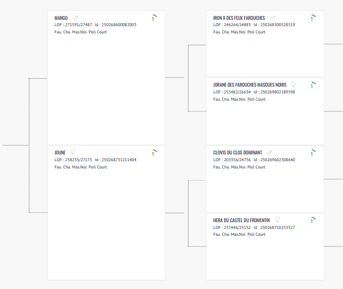 Arbre généalogique de Roxy