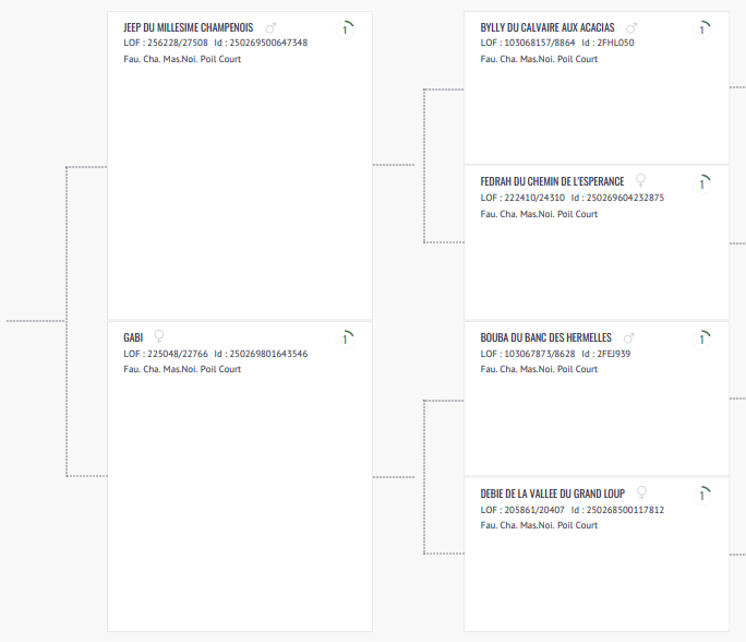 arbre généalogique d'un chien